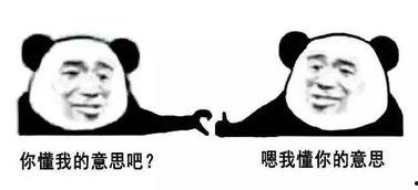 好哥吃瓜娱乐,揭秘娱乐圈幕后故事