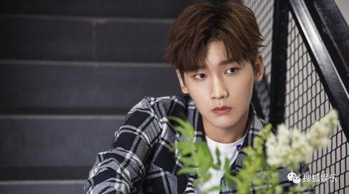 爱豆吃瓜娱乐酱刘宇宁,从爱豆到吃瓜娱乐酱，揭秘他的跨界人生