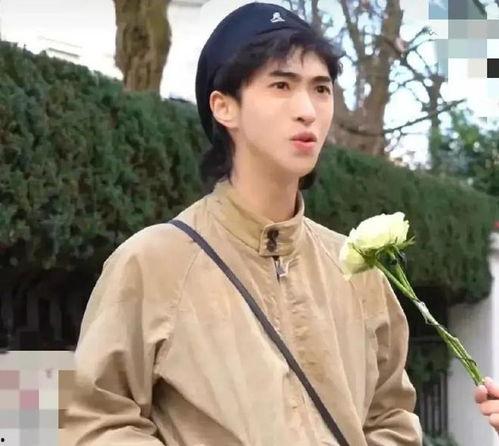 吃瓜娱乐演员表,揭秘明星阵容，带你走进娱乐圈风云变幻