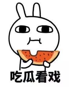 娱乐吃瓜君小团团,娱乐吃瓜界的“瓜王”传奇